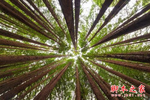 6个懒惰摄影师的特征你有么