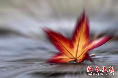6个懒惰摄影师的特征你有么