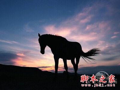 拍出剪影