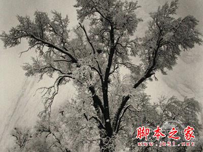 底片密度的范围