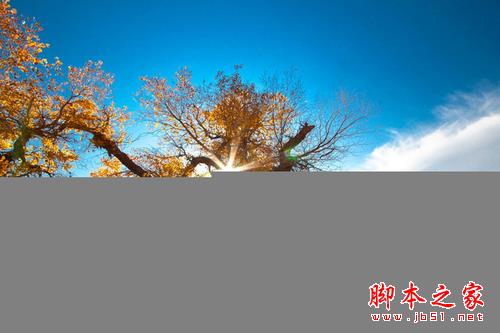 什么情况下才要用手动对焦