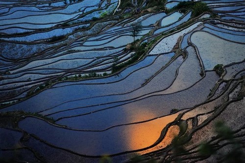 怎样自学摄影构图？