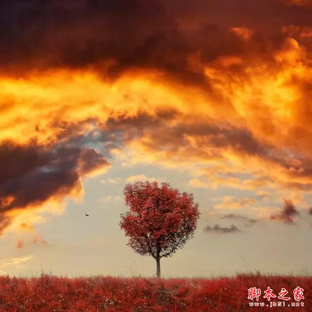 像专业摄影师学构图，很有用