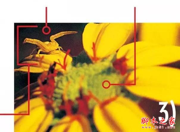 像专业摄影师学构图，很有用