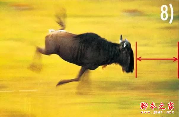 像专业摄影师学构图，很有用