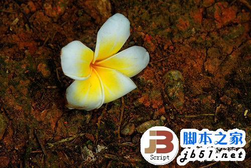 单反摄影常用小技巧