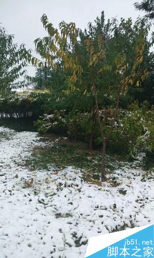 用手机怎样拍出好看的2015冬雪