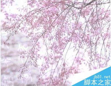 如何拍摄出更好看的照片之摄影构图技巧【上】
