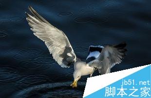 怎样拍出唯美照片？