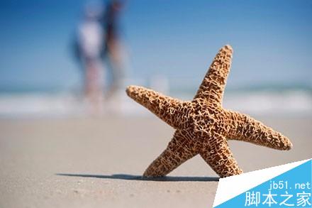 新手如何选择尼康大光圈定焦人像镜头