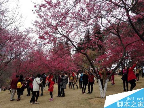 如何使旅游图片在朋友圈更有人气