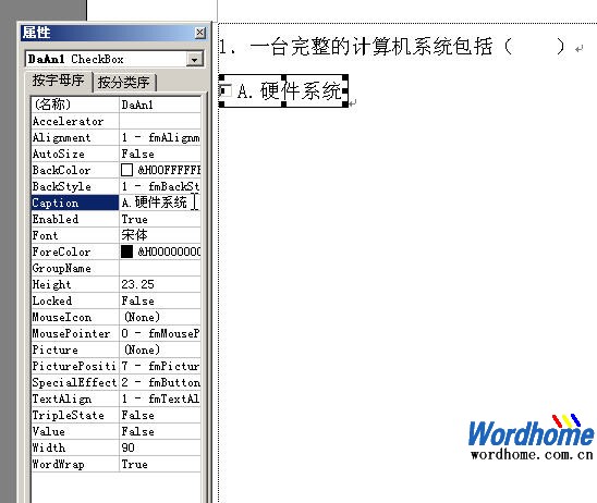 Word教程