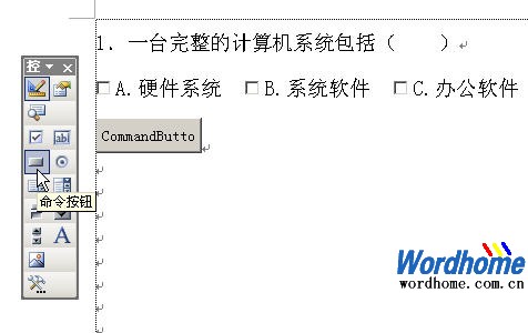 Word教程