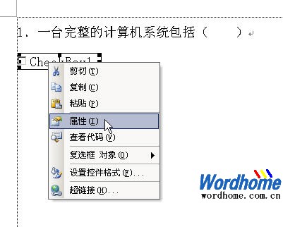 Word教程