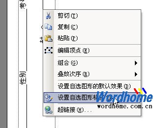 选择“设置自选图形格式”命令