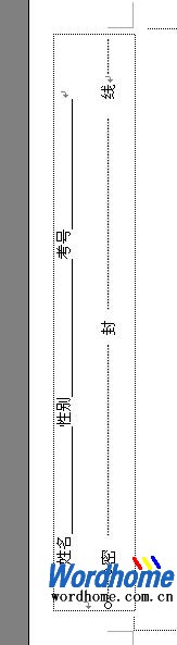 复制并调整虚线