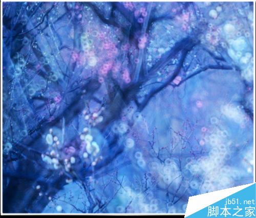 连平桃花摄影技巧— i 摄