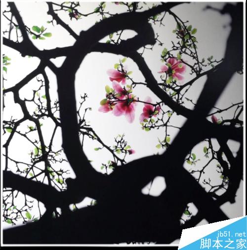 连平桃花摄影技巧— i 摄