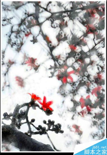 连平桃花摄影技巧— i 摄
