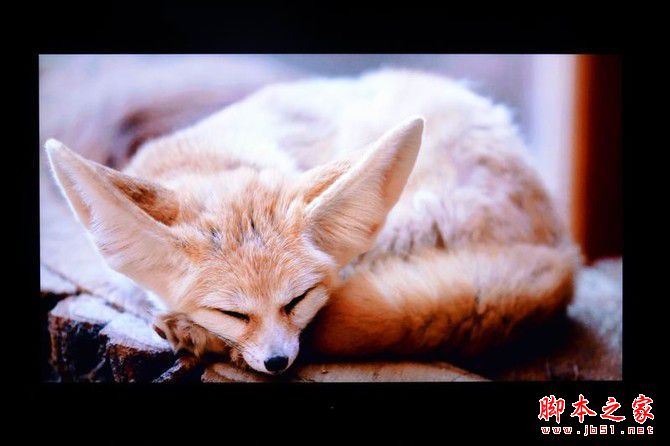 创维55Q8呈现近乎完美的色彩
