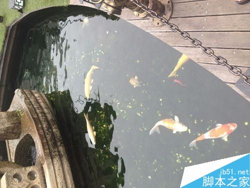 单反手动拍摄技巧详解，让你快速成为达人