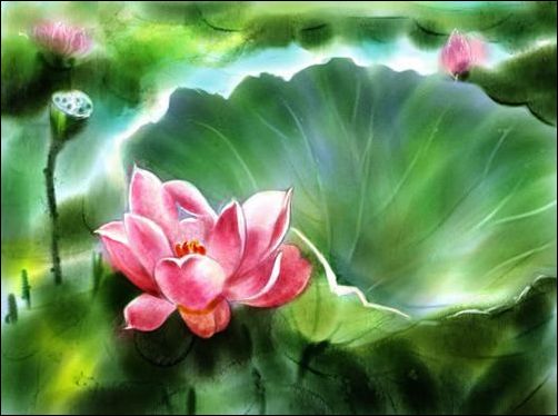 Painter教程:手绘荷花水彩画_脚本之家jb51.net网络转载