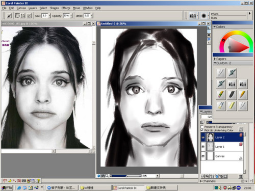 用Painter9临摹照片绘人像素描_脚本之家jb51.net整理整理