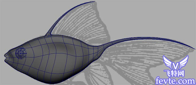 Maya 制作鱼的模型 脚本之家 MAYA入门教程