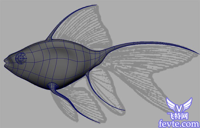 Maya 制作鱼的模型 脚本之家 MAYA入门教程