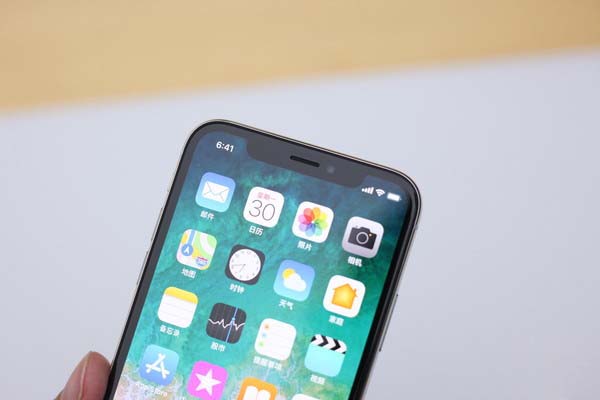 iPhone X