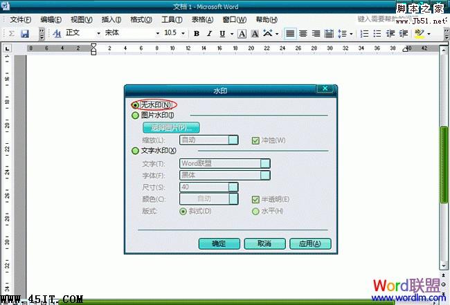 Word2003文档中怎么样去水印