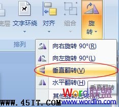 垂直翻转
