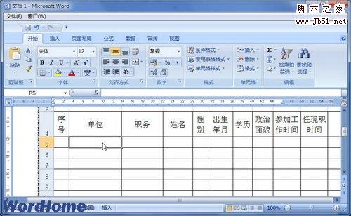 插入到Word文档中的Excel文件